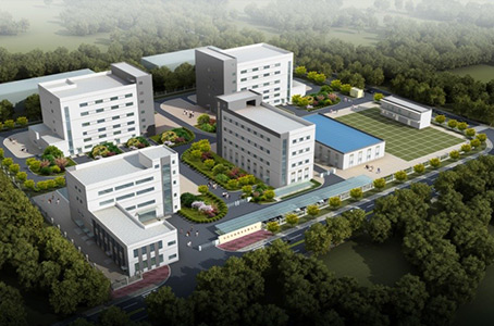 Anqing Chicho Pharmaceutical Co., Ltd.